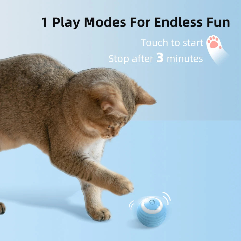 SmartPlay Cat Ball