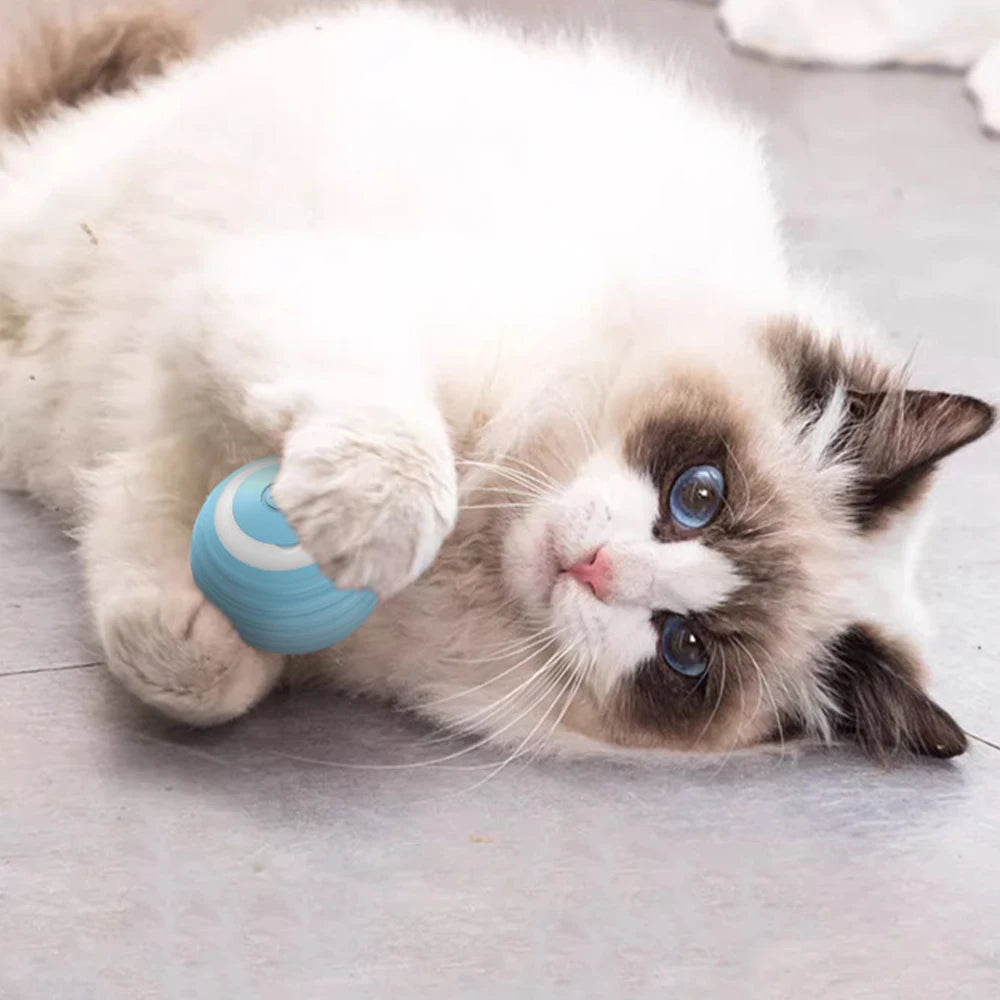 SmartPlay Cat Ball