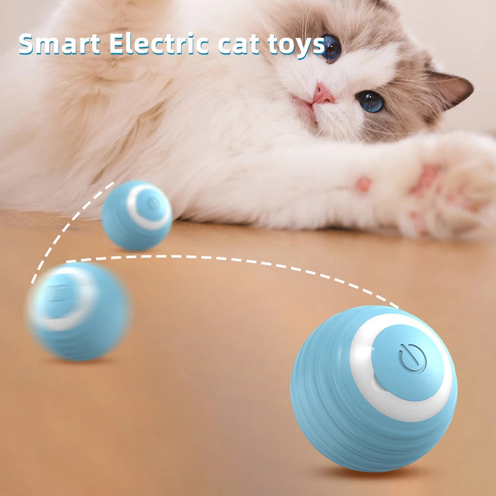 SmartPlay Cat Ball