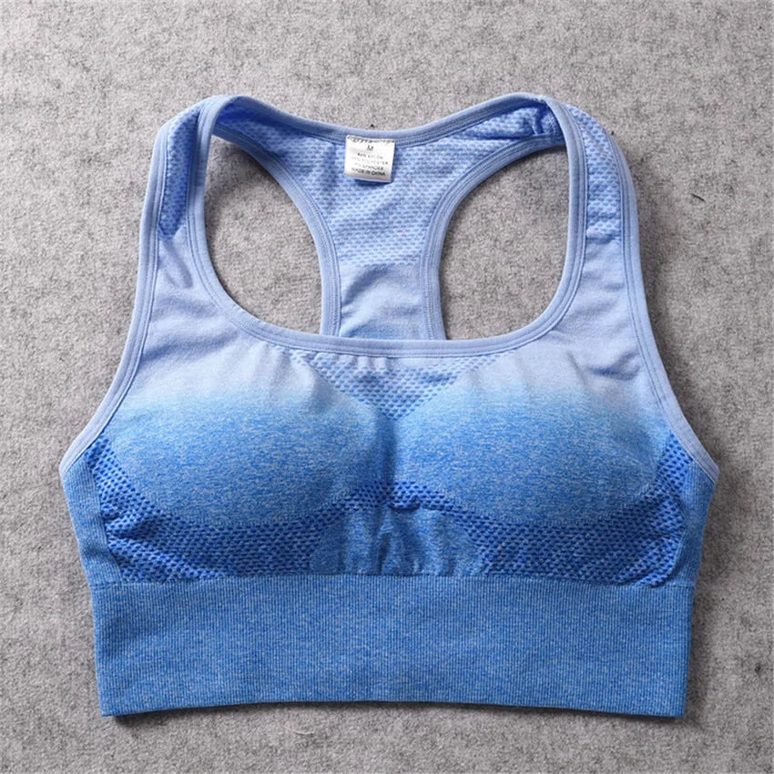 Gradient Gym Bra Top