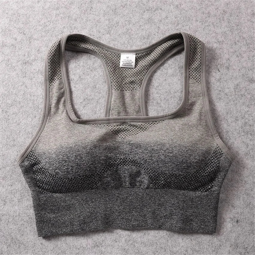 Gradient Gym Bra Top