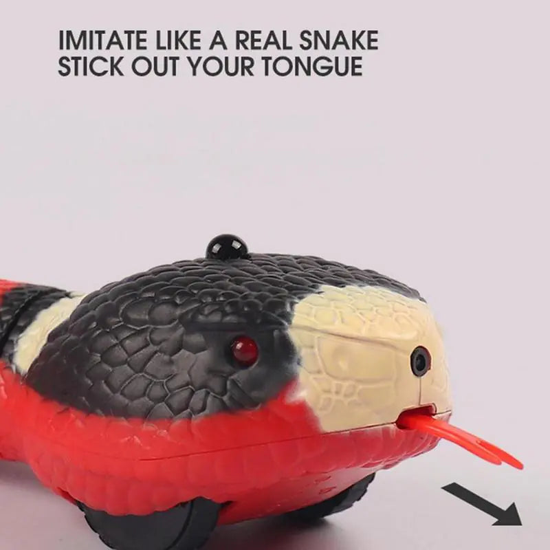 Smart Sensory Snake Cat Play Toy