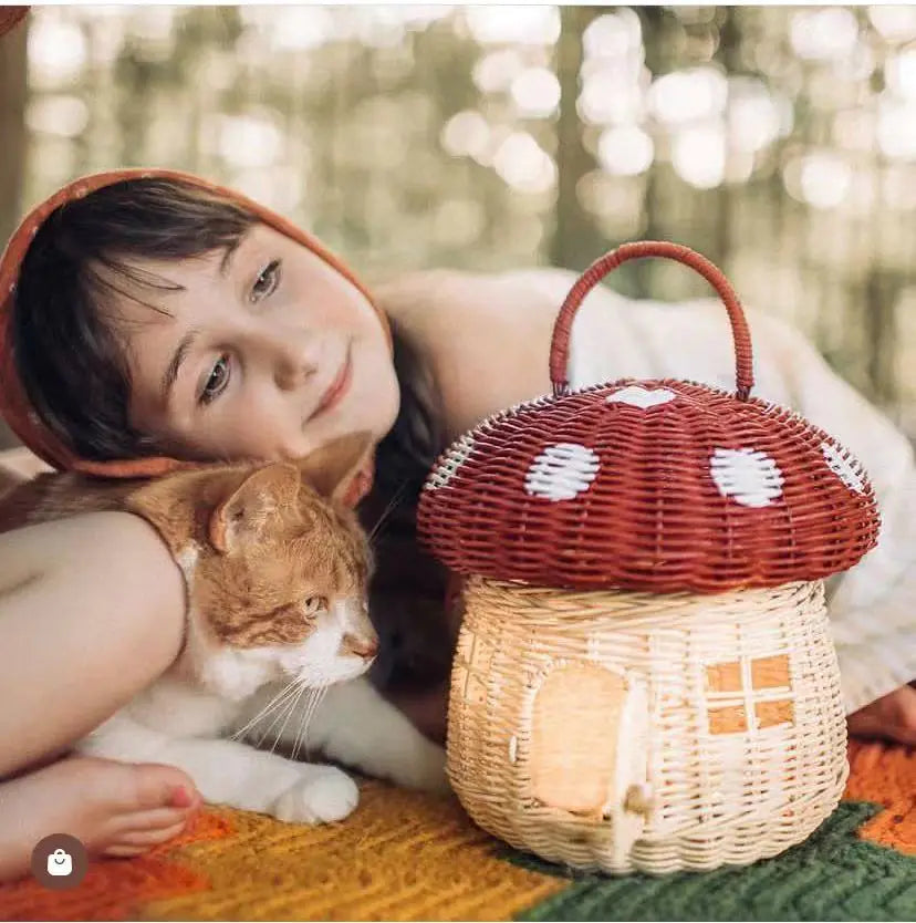 Cute Mushroom Basket