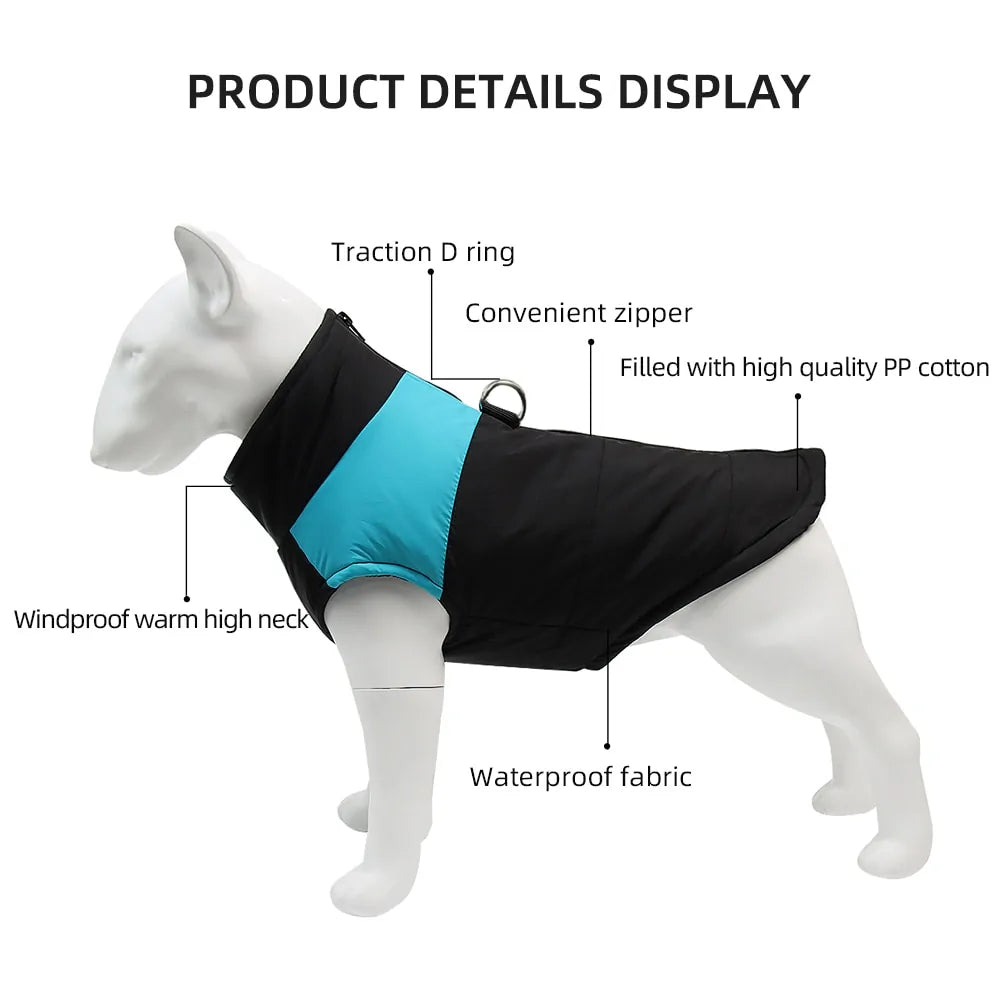 Winter Pets Clothing