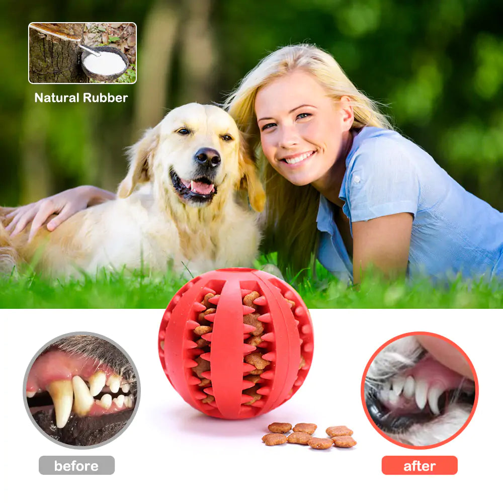 ChewJoy Rubber Ball Toys