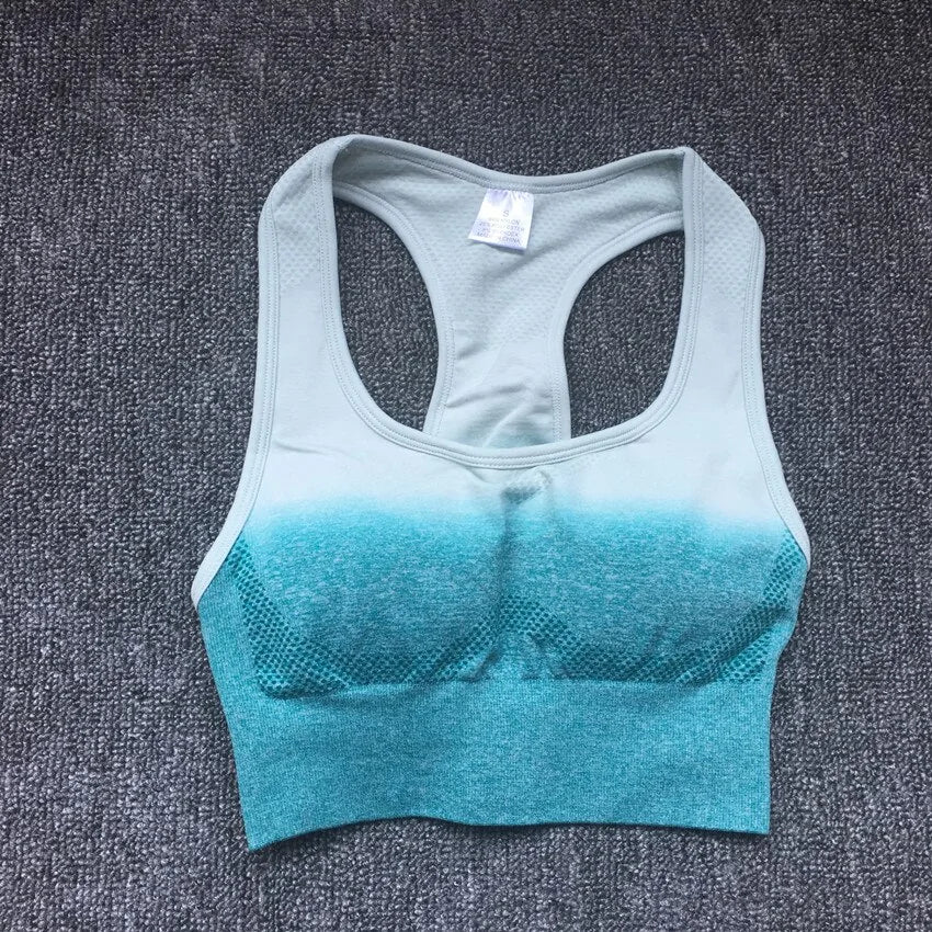 Gradient Gym Bra Top