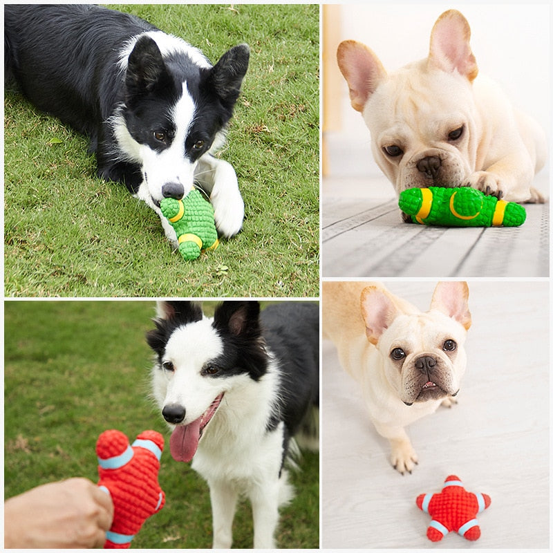 FunTime Squeaky Dog Toys