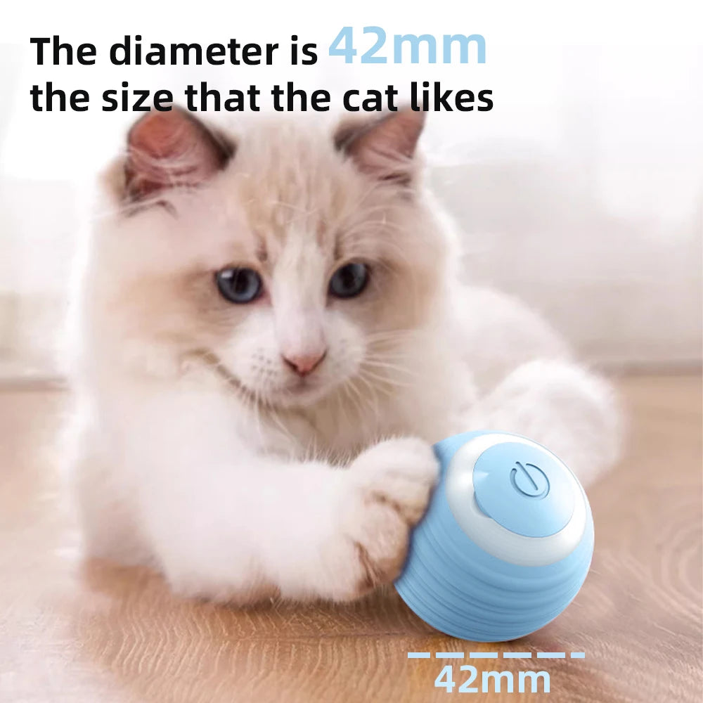 SmartPlay Cat Ball